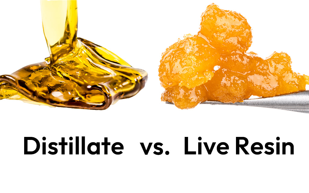 Distillate VS. Live Resin – I Am Hemp Inc