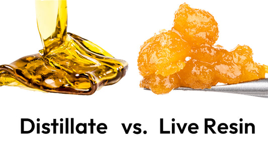 Distillate VS. Live Resin