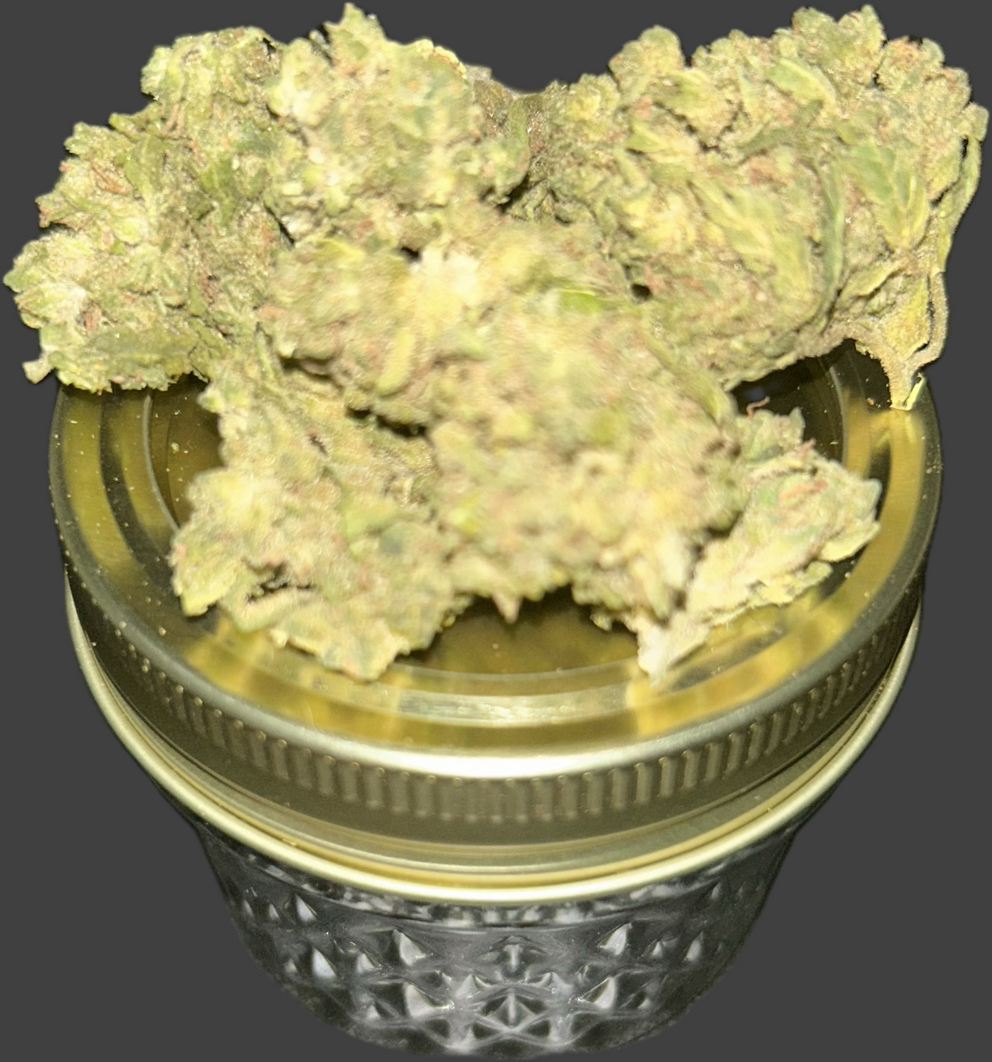 Tropicana Cookies Greenhouse Flower(Medium/Bigs)