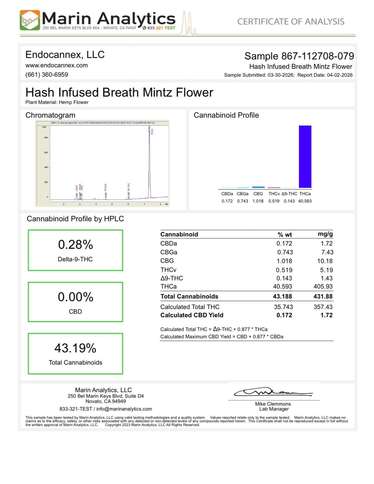 Hash Infused AAA Indoor Breath Mintz THCa Flower