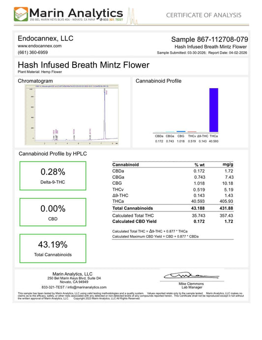 Hash Infused AAA Indoor Breath Mintz THCa Flower