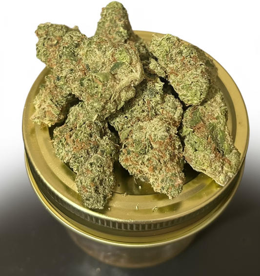 Papaya Punch(Indoor)