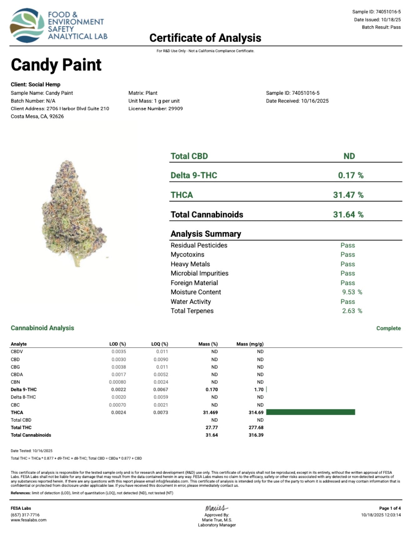 THCa Flower|Candy Paint|Indoor smalls|31.47%|(H)