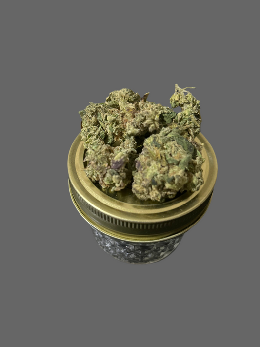 Candy Glue(Indoor)