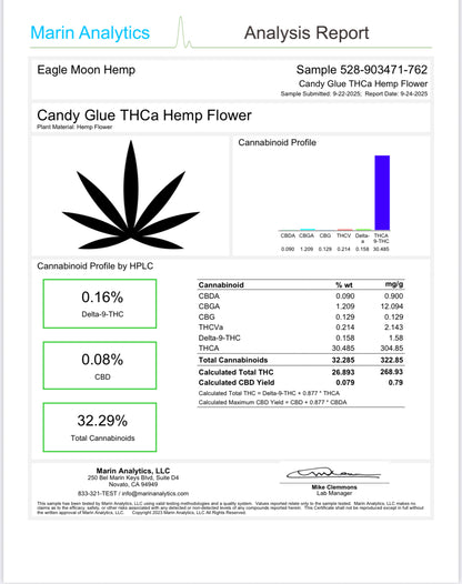 Candy Glue(Indoor)