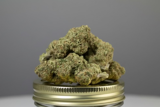 Jet Fuel (Indoor) (I)