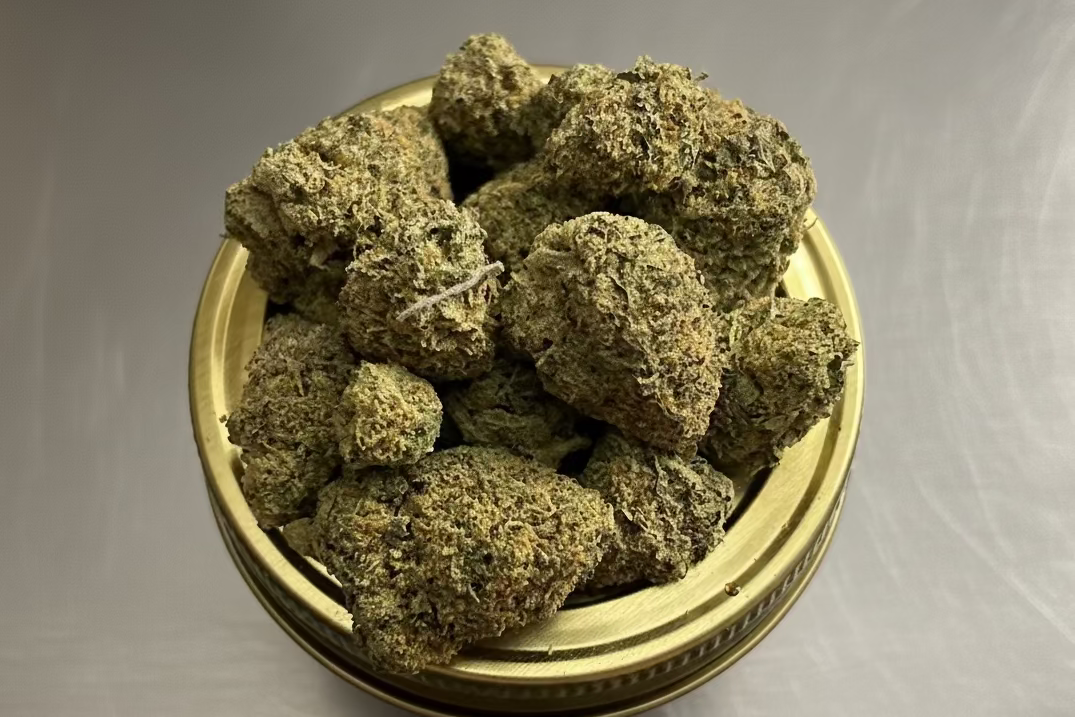 RainShadow Runtz (Indoor smalls and mediums) (H)