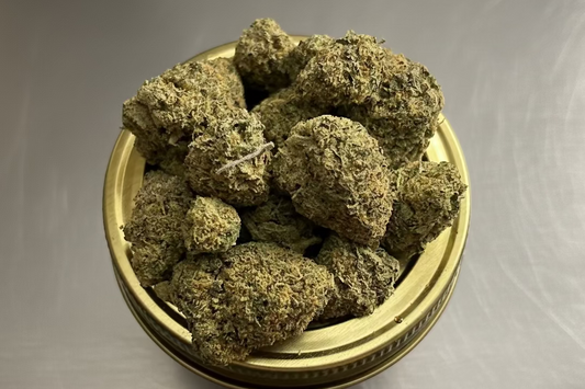 RainShadow Runtz (Indoor smalls and mediums) (H)