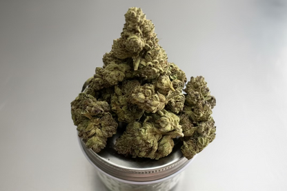 Ice Cream Mintz Greenhouse (I)