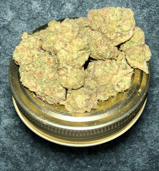 Italian Ice (Indoor)