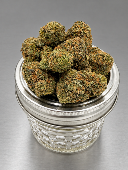 THCa Flower|Blueberry Dream Pie|Greenhouse Tops|24.55% (H)